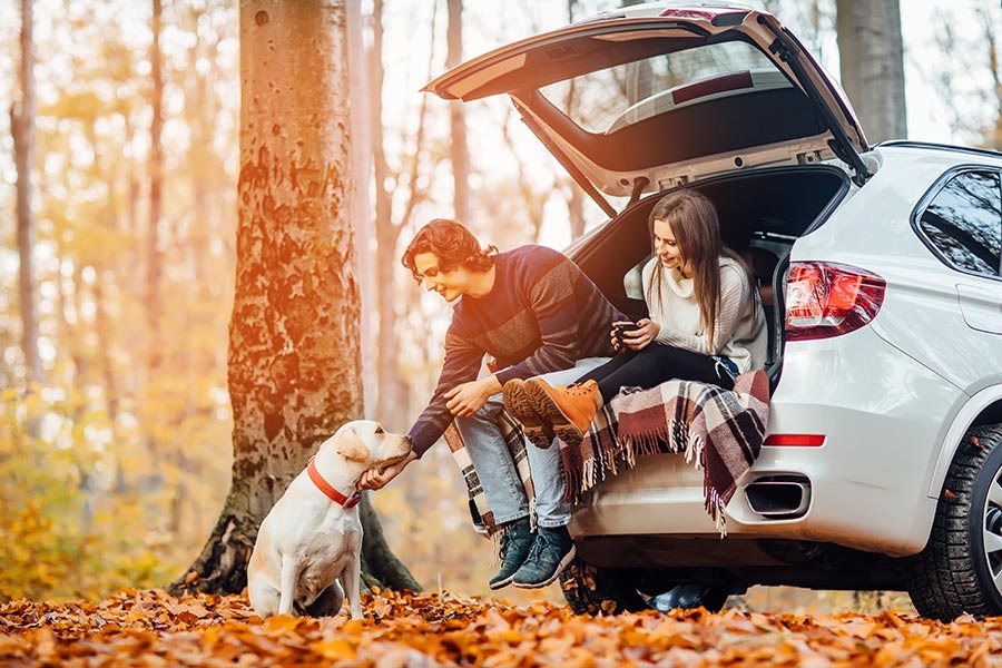 Personal Insurance - Couple and Their Dog Relax in the Back of Their Open Car, in the Woods in Autumn